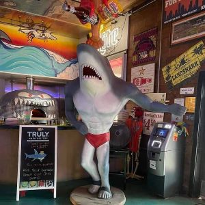 welcome to Sharky's